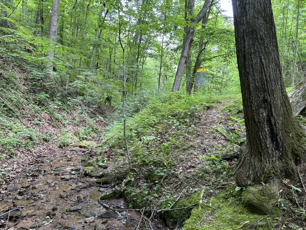 A disc golf basket perched atop a slope adjacent to a small stream in a Tennessee forest